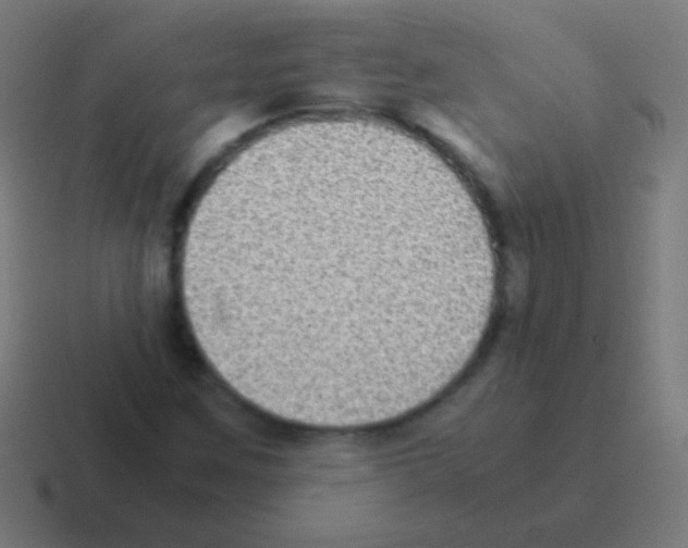 X0000116061259200912312305