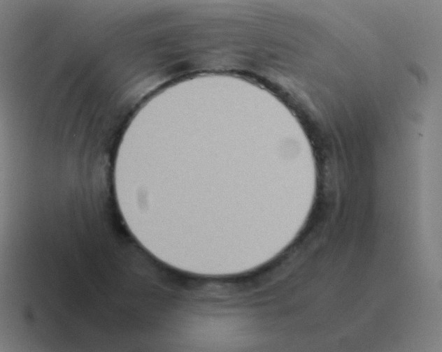 X0000116061265200912312304