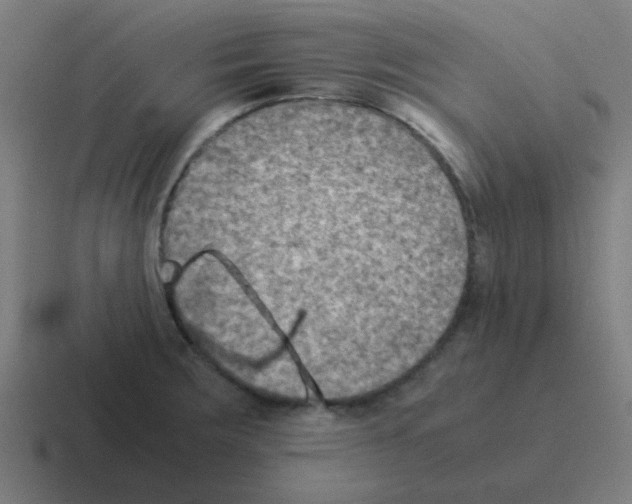 X0000116061283200912312304