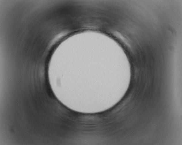 X0000116061307200912312304