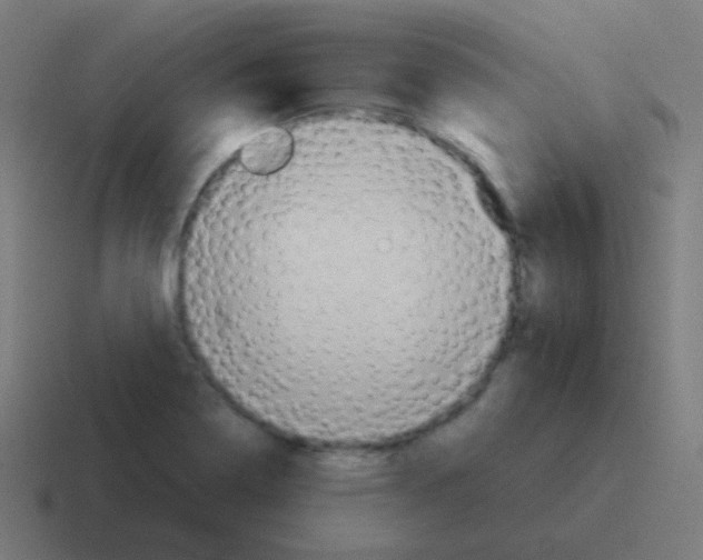 X0000116061322200912312304