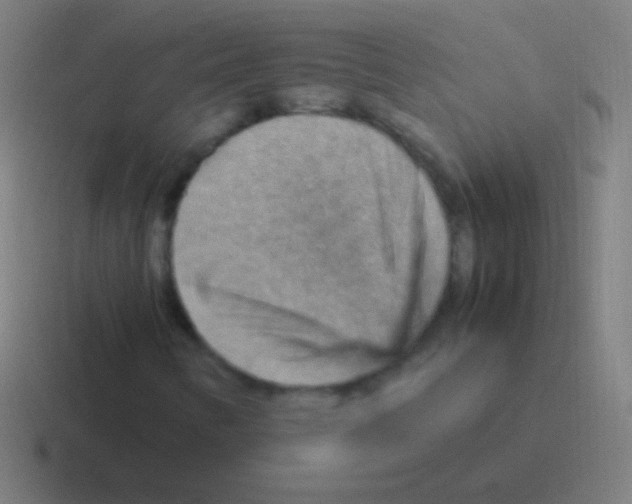 X0000116061346200912312303