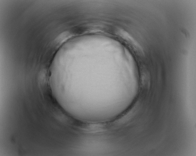 X0000116061353200912312303