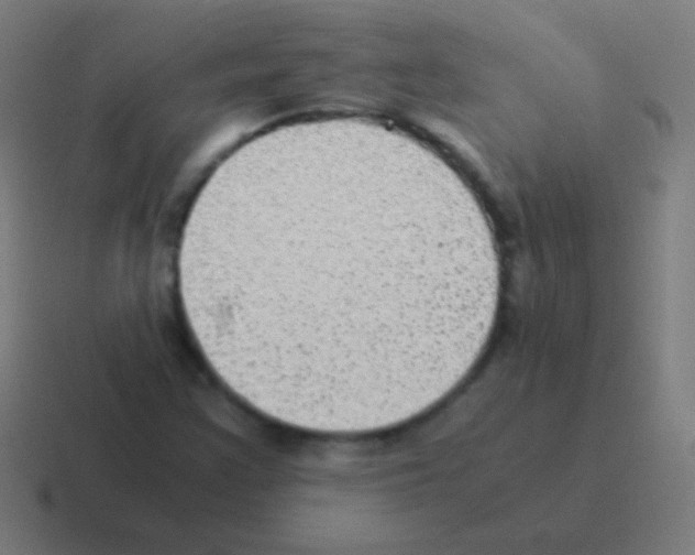 X0000116061355200912312303