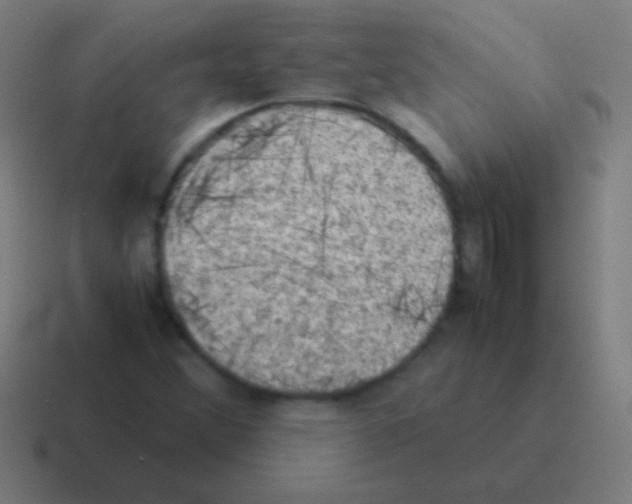 X0000116061356200912312303