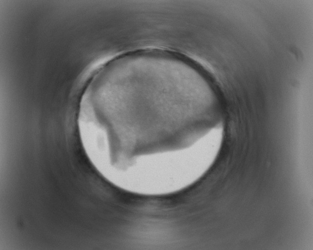 X0000116061359200912312303