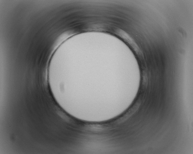 X0000116061370200912312303