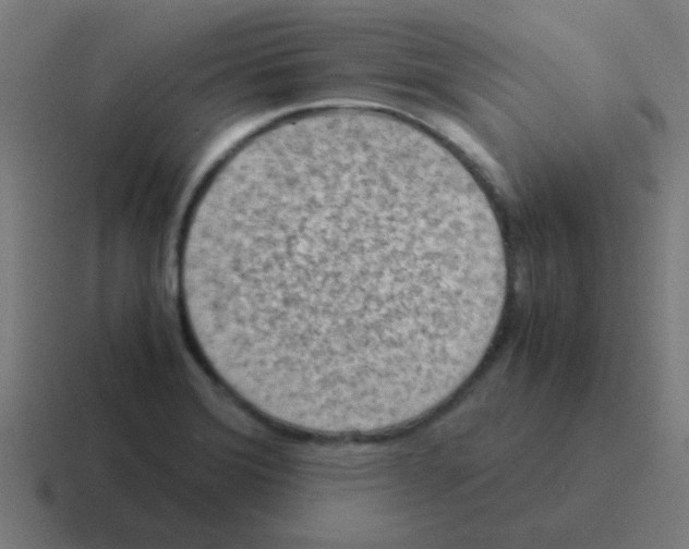 X0000116061372200912312303