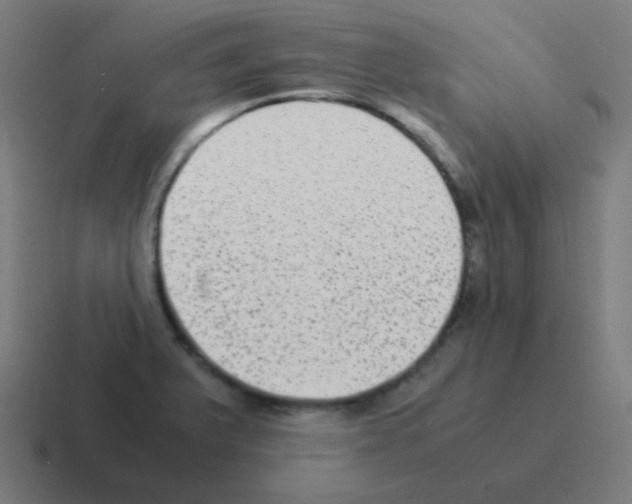 X0000116061375200912312303