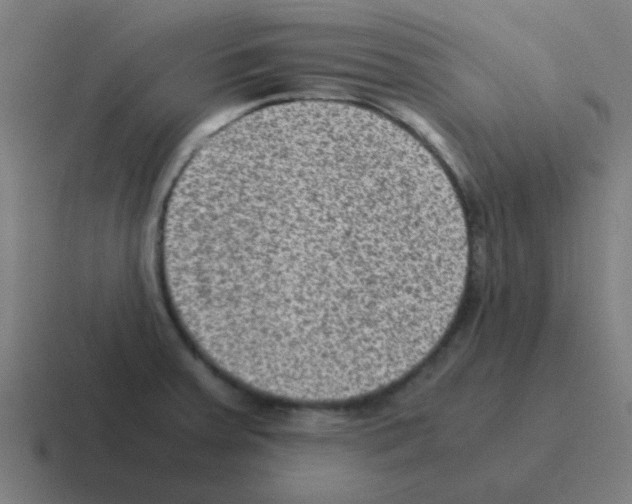 X0000116061379200912312303