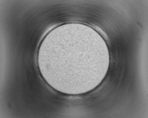 X0000116061384200912312303