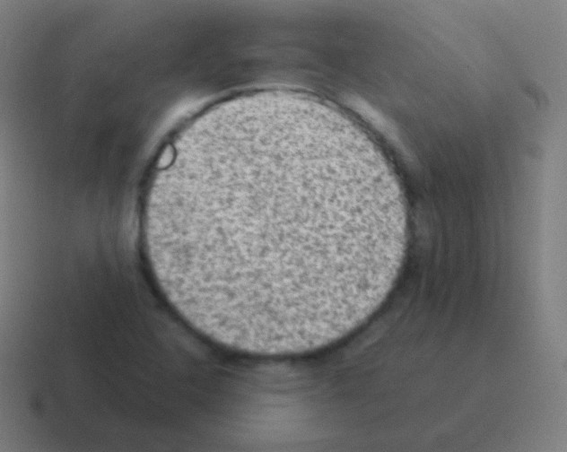 X0000116061408200912312302