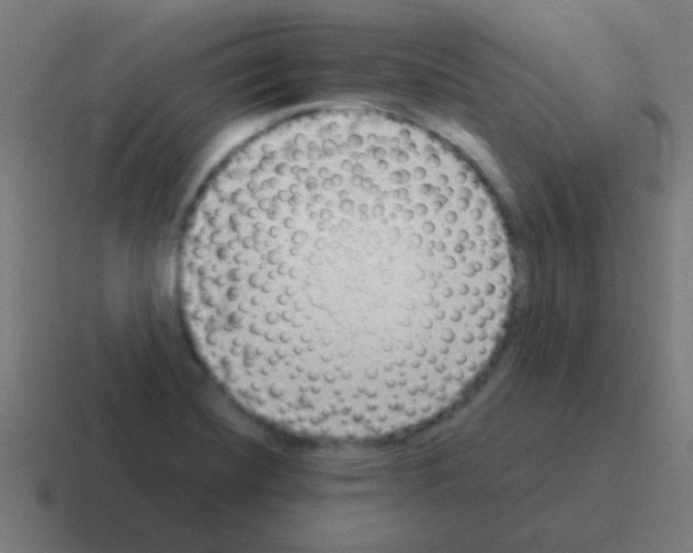 X0000116061420200912312303
