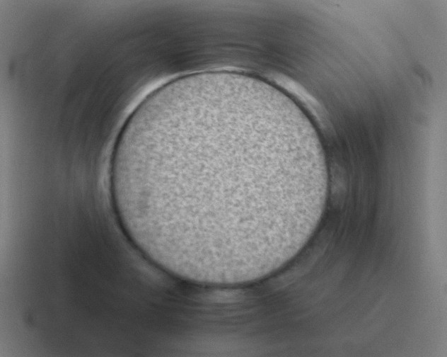 X0000116061423200912312303