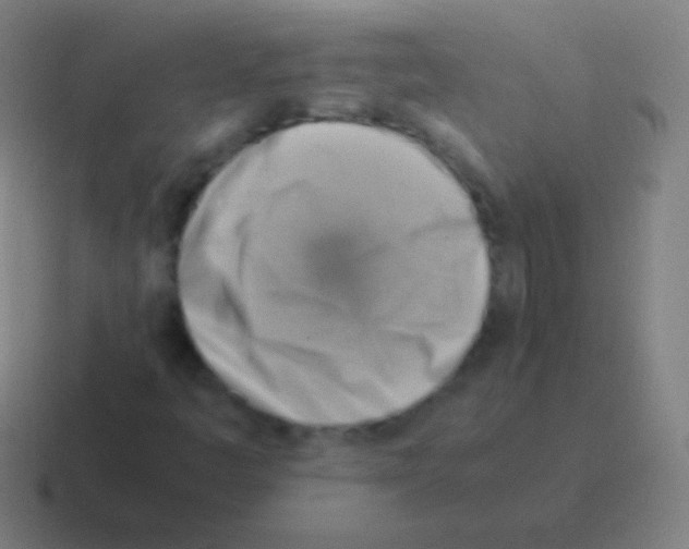 X0000116061445200912312302