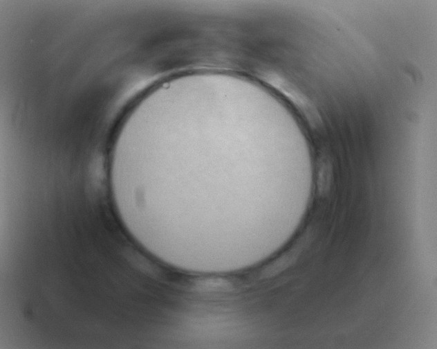 X0000116061454200912312302