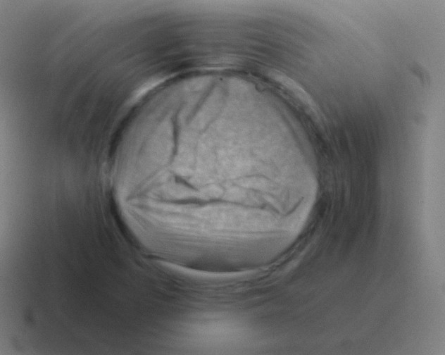 X0000116061457200912312302