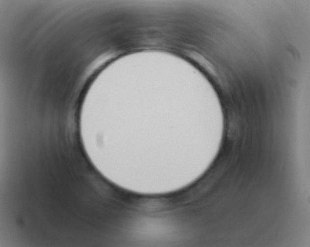 X0000116061458200912312302