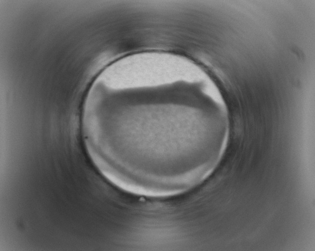 X0000116061459200912312302