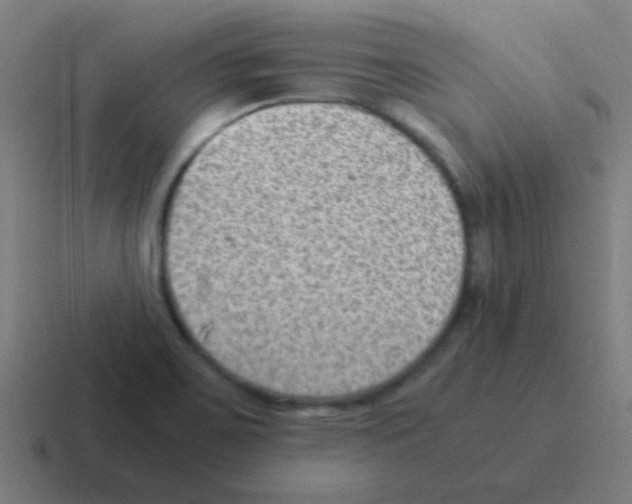 X0000116061467200912312302