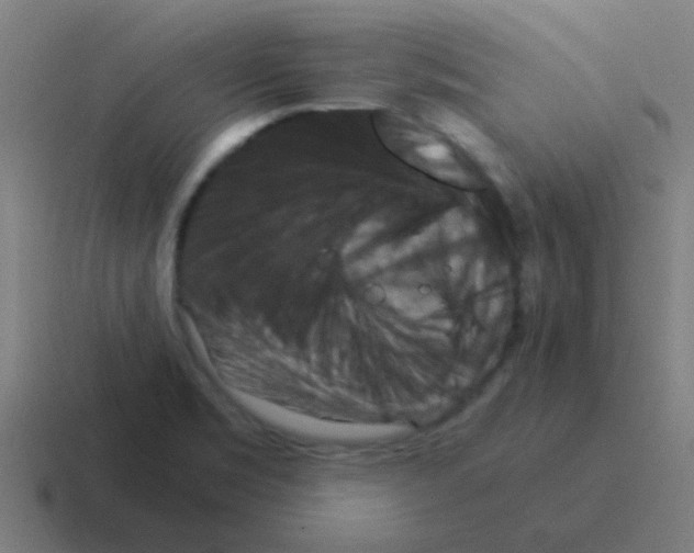 X0000116061469200912312302
