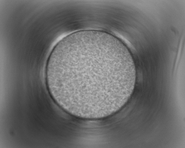 X0000116061471200912312302