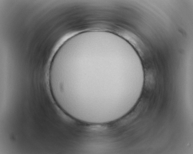 X0000116061478200912312302