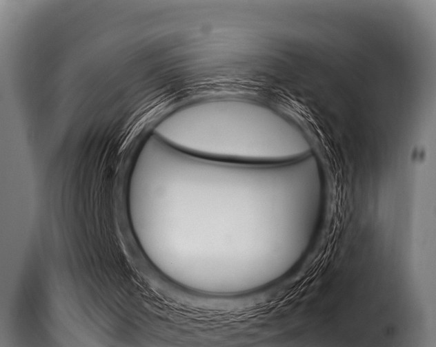 X0000116100001200911230942