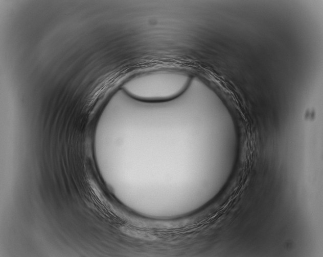 X0000116100002200911230942