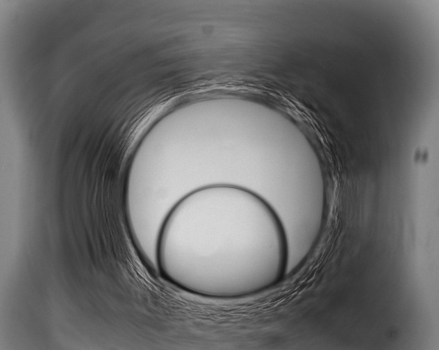 X0000116100003200911230942
