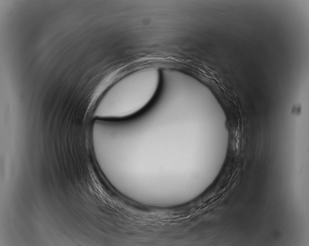 X0000116100004200911230942