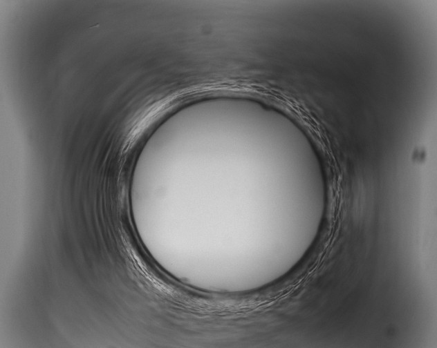 X0000116100005200911230942