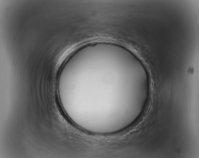 X0000116100007200911230942
