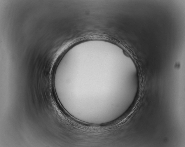 X0000116100008200911230942