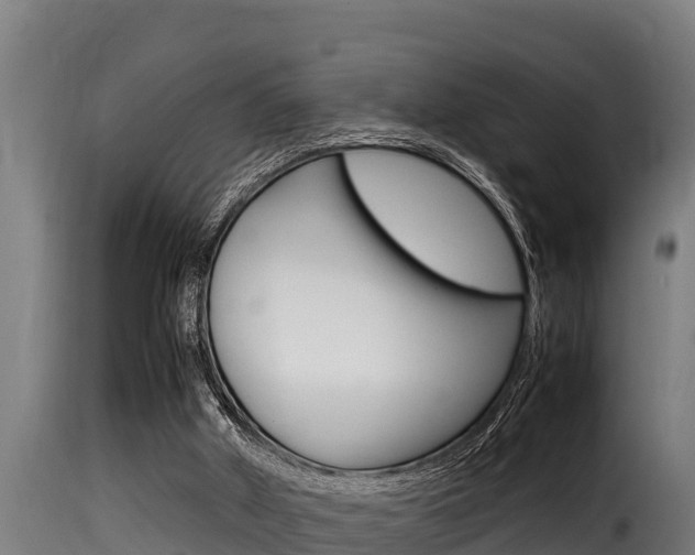 X0000116100010200911230942