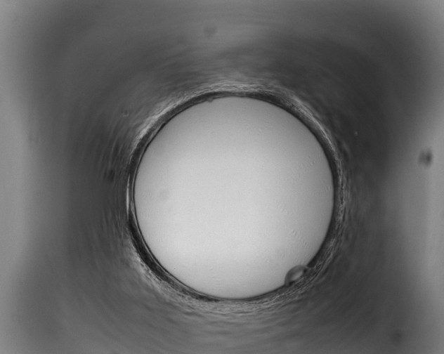 X0000116100011200911230942