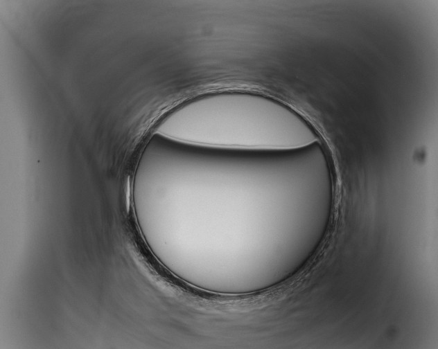 X0000116100013200911230942