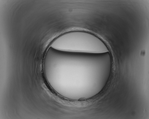 X0000116100015200911230942