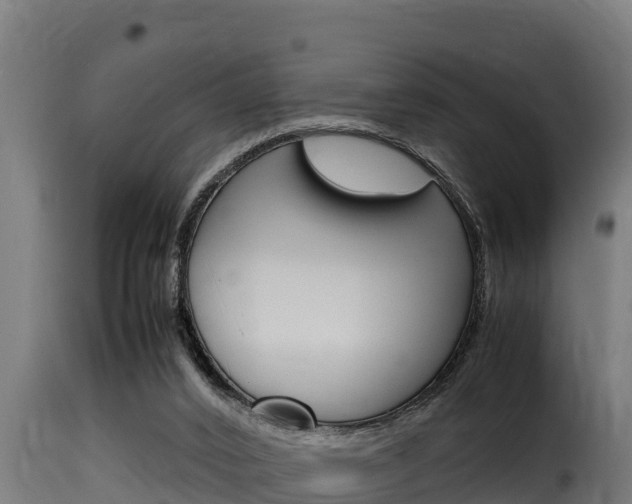 X0000116100016200911230942