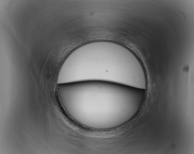 X0000116100017200911230942