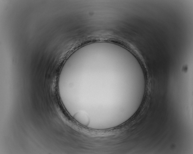X0000116100018200911230942