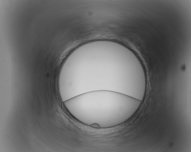 X0000116100019200911230942