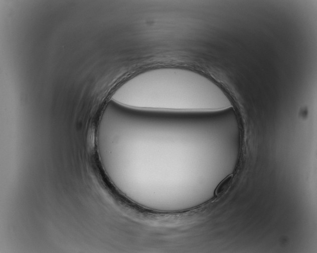 X0000116100021200911230942