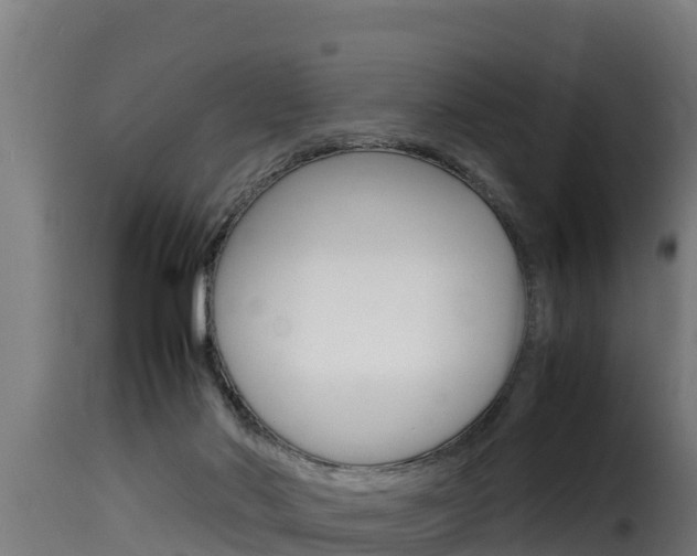 X0000116100022200911230942