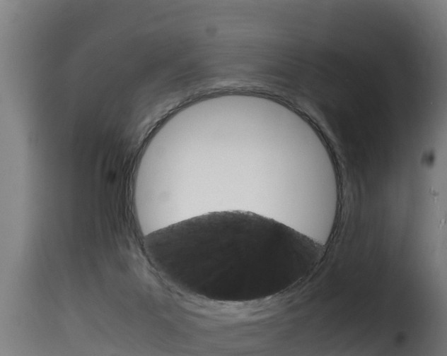 X0000116100023200911230942