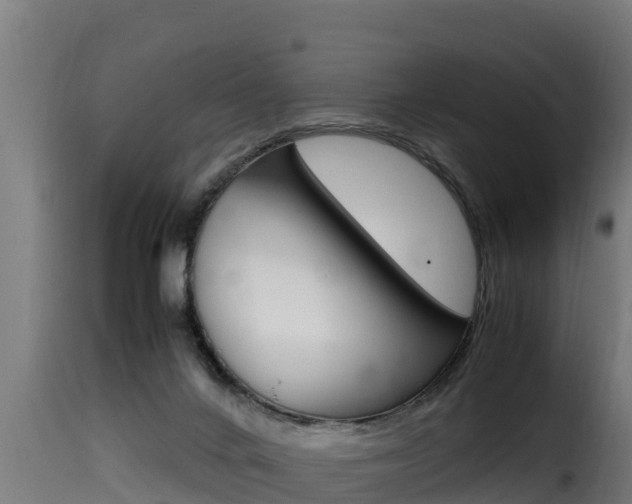 X0000116100024200911230942