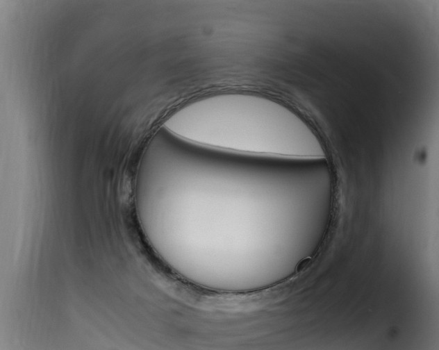 X0000116100025200911230942
