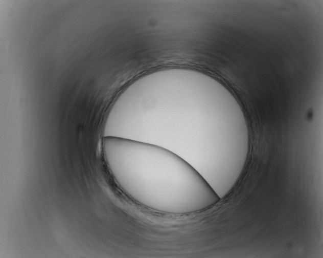 X0000116100028200911230942