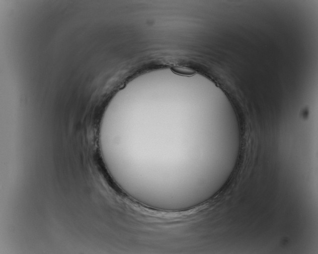 X0000116100031200911230942