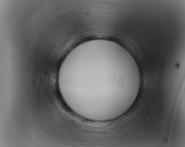 X0000116100032200911230942